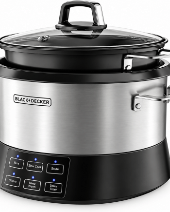 Black & Decker Marmite et cuiseur à riz tout-en-un 20 tasses RCR520SD