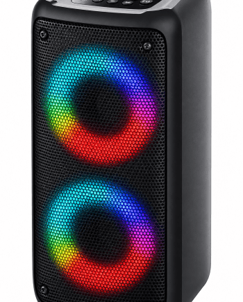 Digivolt Haut-parleur portable Bluetooth 4000W 4 po x 2 DG-4202.