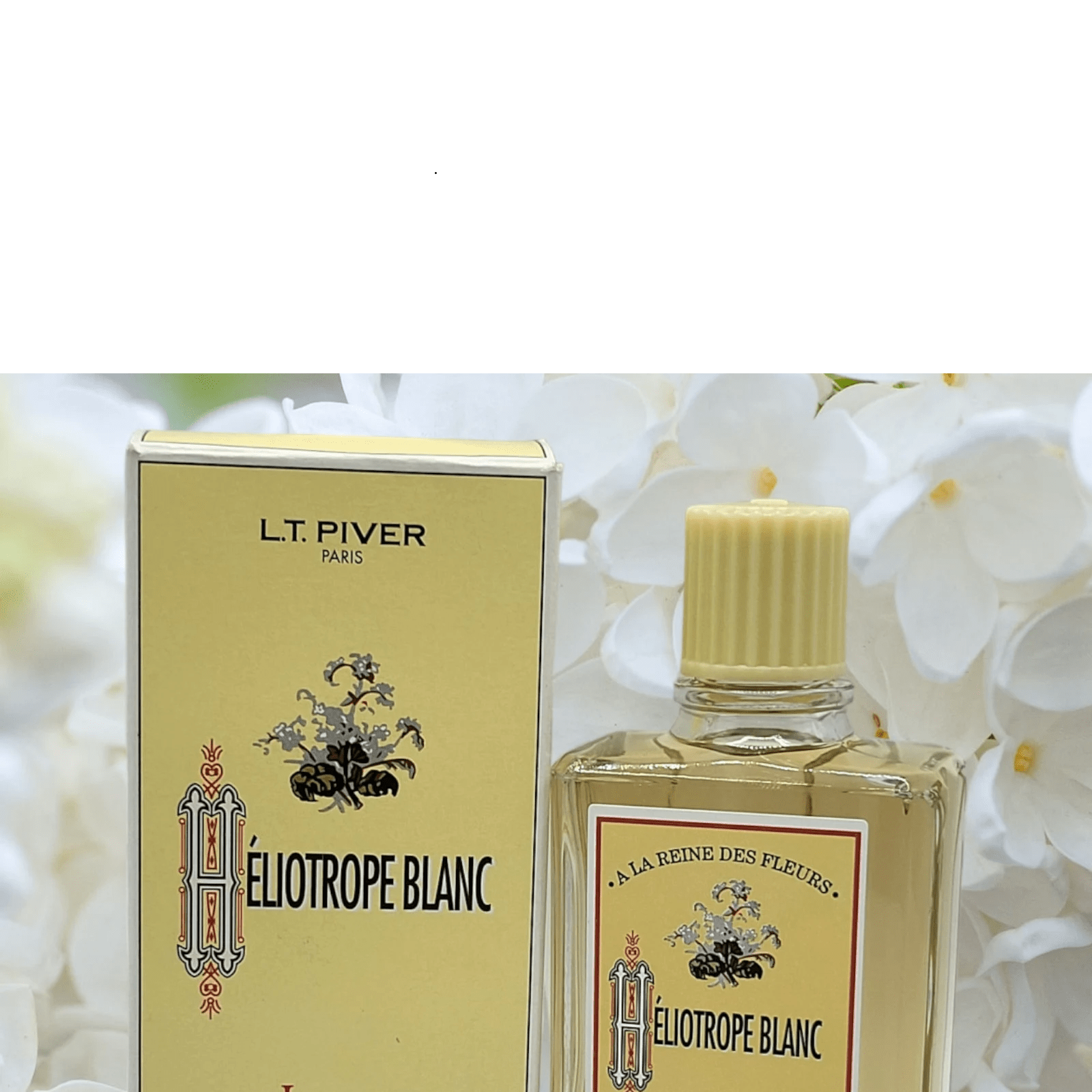 L.T. Piver Héliotrope Blanc Eau de Toilette 100 ml parfum floral poudré